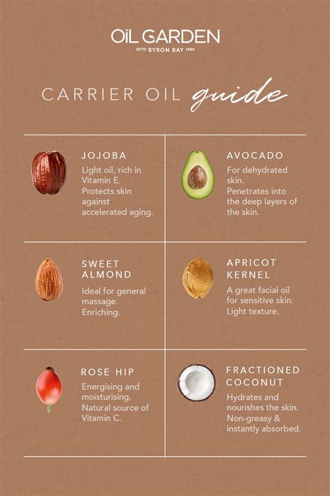 2023 Essential Oil Carrier Oil Guide: Everything You Need to Know