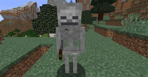 2023 Guide to Farm Skeletons in Minecraft: 400,000+ Players Can't Be Wrong