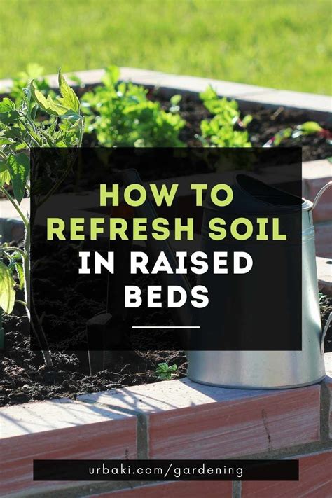 2023 Guide to Raised Bed Fertilizers: Boosting Your Garden's Yield