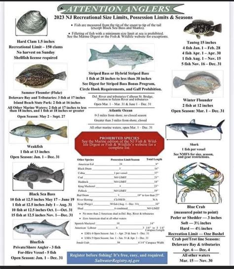 2023 Guide to Voyager Fishing in New Jersey