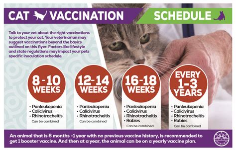 2023 PetSmart Vaccination Clinic Dates: Protect Your Furry Friends!