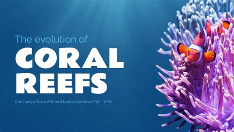 2023 vs. 2025: The Evolution of Reef Factory Certifications