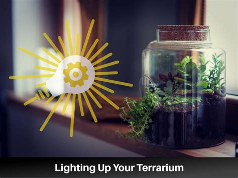 2023 vs. 2025: Unleashing the Evolution of Terrarium Lighting Trends