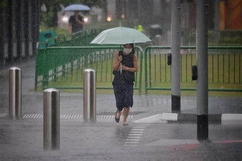 2023-2025 Singapore Rainy Season Guide: Everything You Need to Know