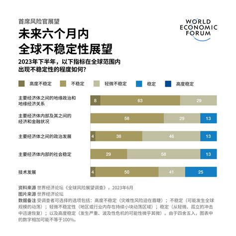 2024下半年世界政治风险