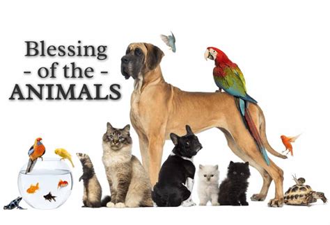 2024 Blessing of the Animals Near Me: A Comprehensive Guide