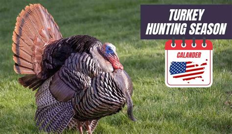 2024 NC Turkey Season: Everything You Need to Know