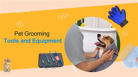 2025's Pet Grooming Tools and Products: The Ultimate Guide