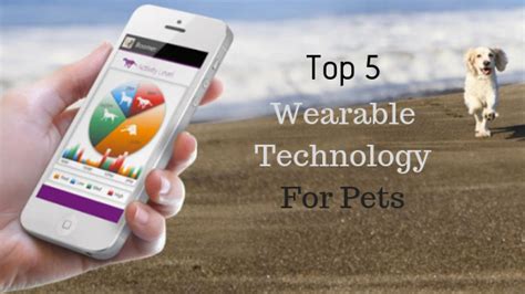 2025's Top 5 Pet Wearable Devices: An Ultimate Comparison