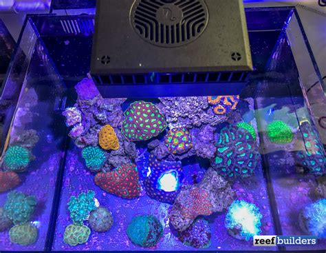 2025's Top ReefLED: Reef Factory VS the Competition