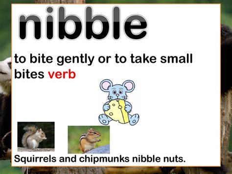 2025: Calming Bites VS Disturbing Nibbles in Animal Behavior