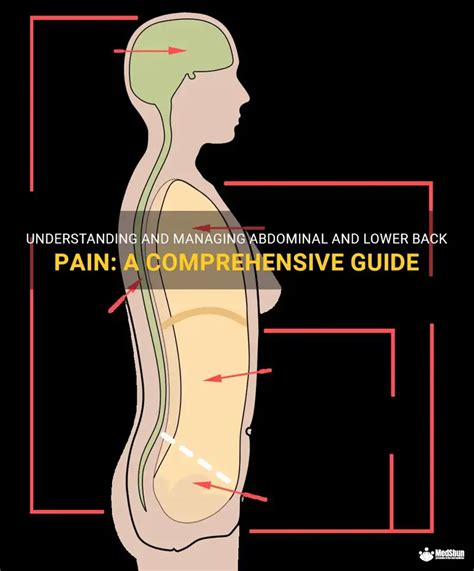 2025: Lower Back and Abdominal Pain Relief Guide