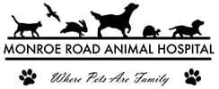 2025: Monroe Road Animal Hospital: Leading the Revolution in Veterinary Medicine in Charlotte