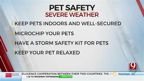 2025: Pet Emergency Preparedness for Extreme Weather - VS - Ultimate Guide