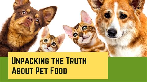 2025: Pet Food and Nutrition Myths VS Truth Unraveled