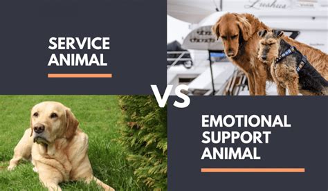 2025: Pet Parenting vs. Emotional Support