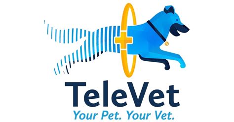 2025: TeleVet Customer Support and Feedback - The Future of Veterinary Care