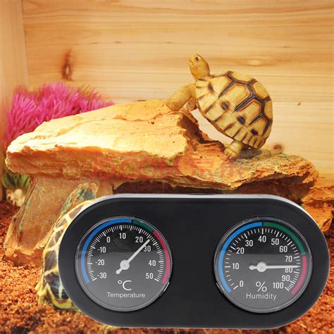 2025: Terrarium Temperature Trends VS Optimal Reptile Health