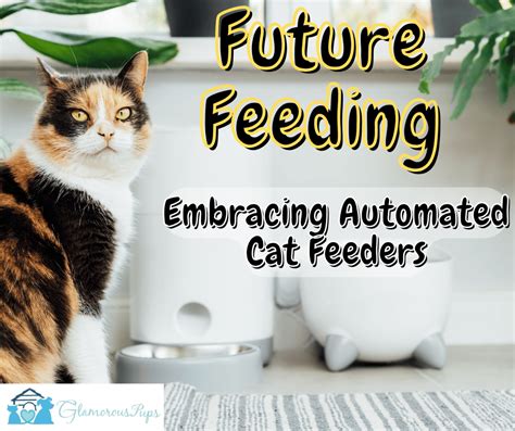 2025: The Future of Automated Cat Feeding