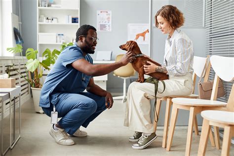 2025: VS Preventative Care for Optimal Pet Health