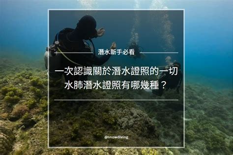 2025 潛水證照攻略：潛初心者必看懶人包