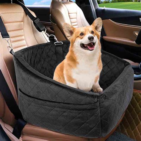 2025 Dog Car Bed Lifestyle Trends: Comfort VS Safety