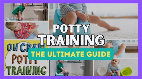 2025 Dog Training Pads VS Potty Training: The Ultimate Guide