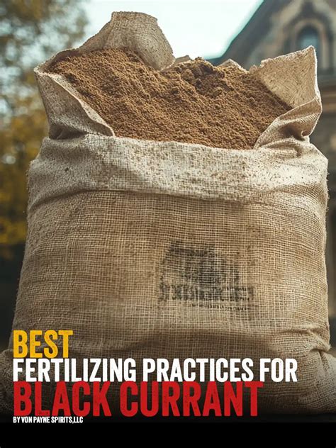 2025 Fertilizing Service: The Ultimate Guide