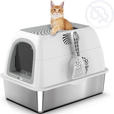 2025 Litter Box Enclosure Options vs. Territorial Behavior