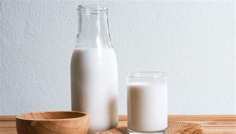 2025 Low-Fat Milk vs. Full-Cream Milk: The Ultimate Showdown for Health-Conscious Consumers