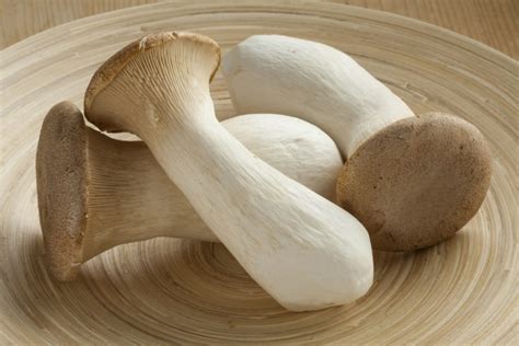 2025 Mushroom Masterclass: How to Cook King Oyster Mushrooms Like a Pro