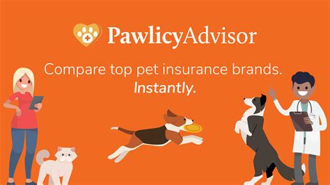 2025 Pawlicy Advisor: Pet Behavior Advice