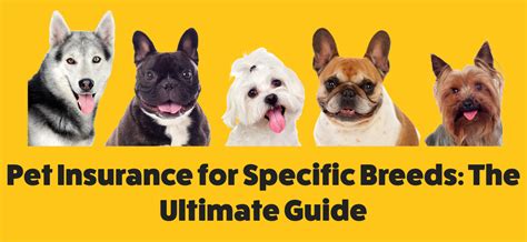 2025 Pet Breed-Specific Health Issues: VS. The Ultimate Guide