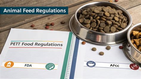 2025 Pet Food Regulations: Navigating the Natural Standards Landscape