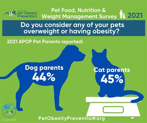 2025 Pet Weight Management Research: 6 Cutting-Edge Studies Tackling Obesity in Pets