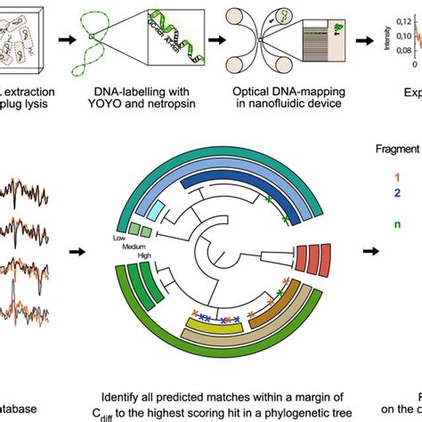 2025 Sniffspot Identification Methods: AI VS DNA Mapping