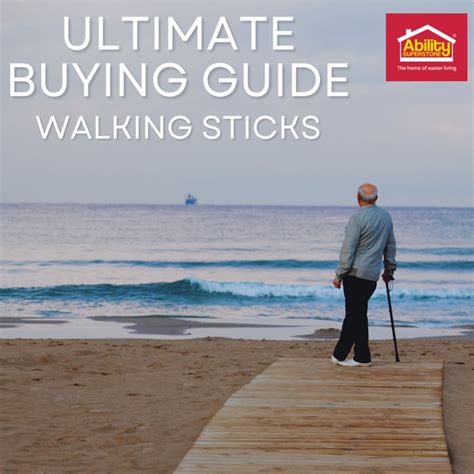 2025 Ultimate Guide to Buying Walking Sticks in Singapore