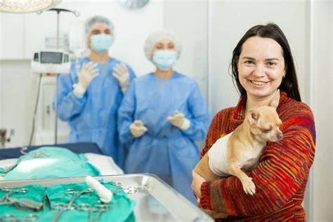 2025 VS: Pet Medical Procedures and Surgeries That Will Change the Future