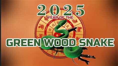 2025 Year of the Green Wood Snake: Unraveling the Mysteries of the Yin Wood Reptile