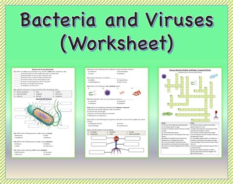 203 diseases caused by bacteria and viruses answer key Doc