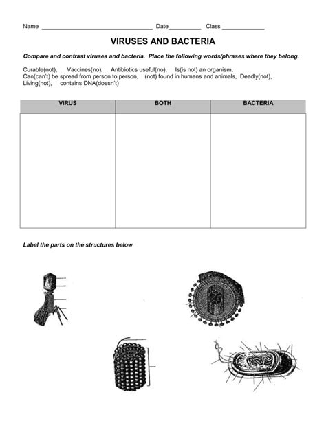 203 diseases caused by bacteria and viruses worksheet answers Doc