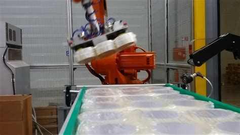 20kg Automatic Packing Machine: A Revolutionary Upgrade for Packaging Operations