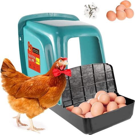 21 Best Chicken Boxes for Laying Eggs in 2023