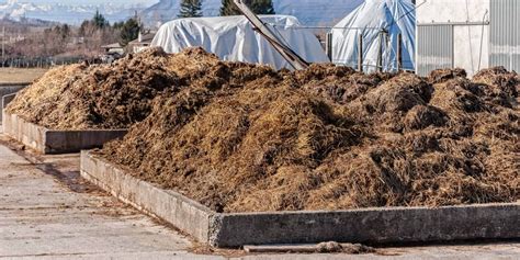 21st-Century Manure Fermentation: A Definitive Guide to Maximizing Efficiency