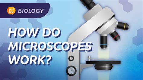 22 mm2 in mm: Unlocking the Microscopic World