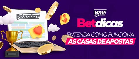 223 Bet: Entenda tudo sobre esta casa de apostas