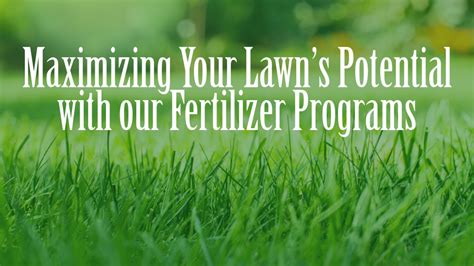 23 Proven Strategies for Maximizing Your Lawn with Fertilizer and Grass Seed