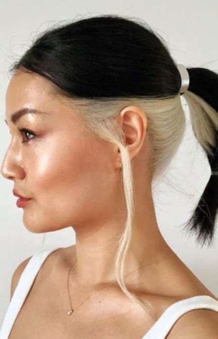 23 Ways to Slay with Skunk Stripes Hair: A Guide to the Edgiest Trend