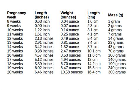 23 weeks fetal weight in grams