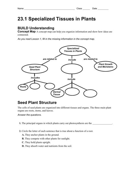 231 Specialized Tissues In Plants Worksheet Answers Kindle Editon